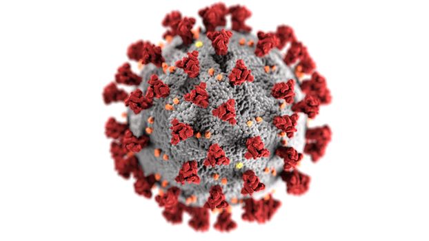 ban-co-biet-virus-hpv-la-nguyen-nhan-hang-dau-gay-ung-thu-co-tu-cung