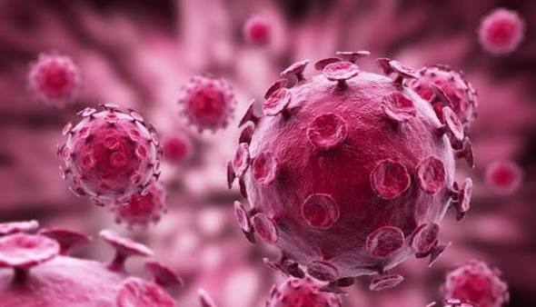 hpv-o-nam-gioi-dau-hieu-nguy-co-va-cach-phong-ngua