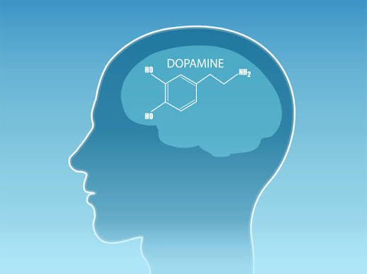 kham-pha-4-loai-hormone-hanh-phuc-va-cach-tang-cuong-chung-moi-ngay