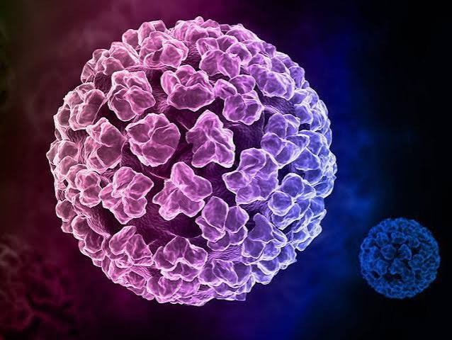 virus-hpv-va-nhung-lam-tuong-nguy-hiem-can-hieu-dung-ngay