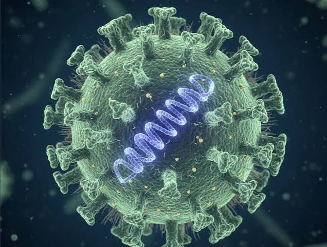 virus-nipah-la-gi-vi-sao-who-xep-vao-nhom-nguy-co-cao