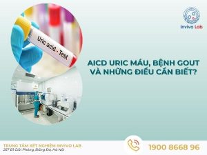 acid-uric-mau-01