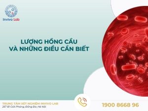 luong-hong-cau-01