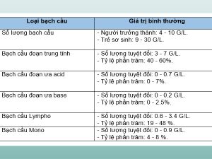 so-luong-bach-cau-04