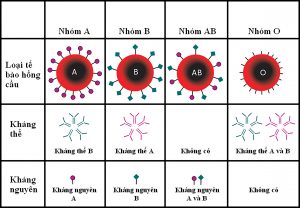 xet-nghiem-2