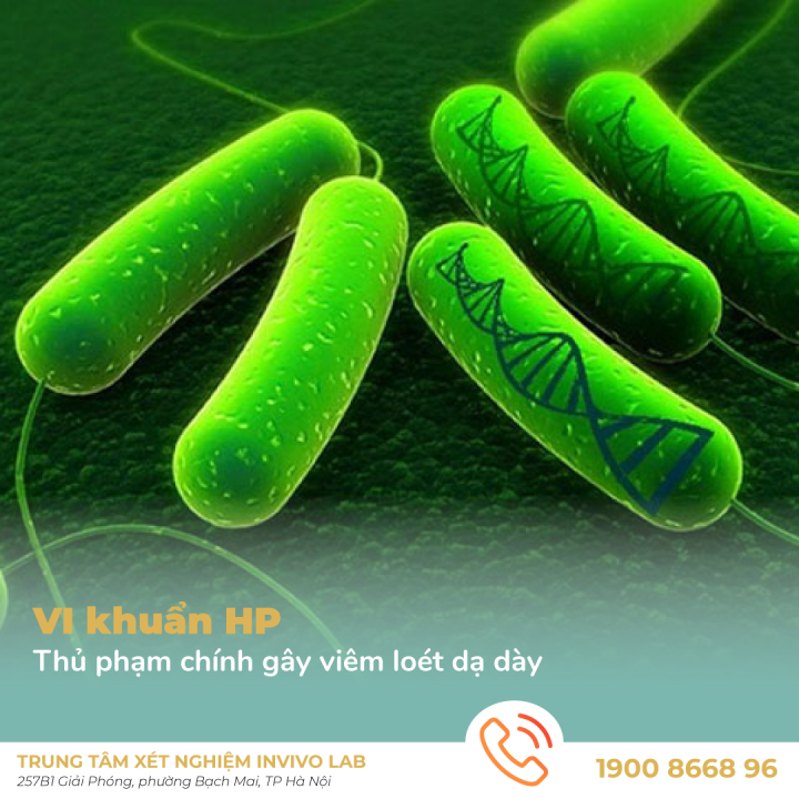 vi-khuan-hp-thu-pham-chinh-gay-viem-loet-da-day