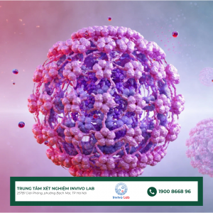 virus-hpv-la-gi