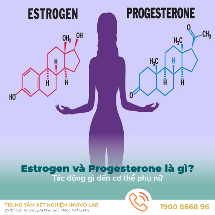estrogen-va-progesterone-la-gi-tac-dong-gi-den-co-the-phu-nu