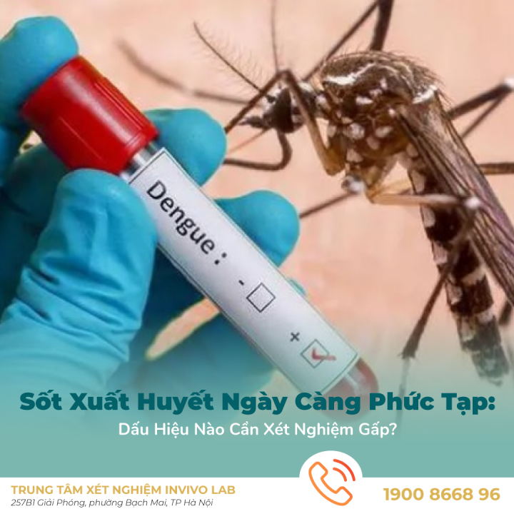 sot-xuat-huyet-ngay-cang-phuc-tap-dau-hieu-nao-can-xet-nghiem-gap
