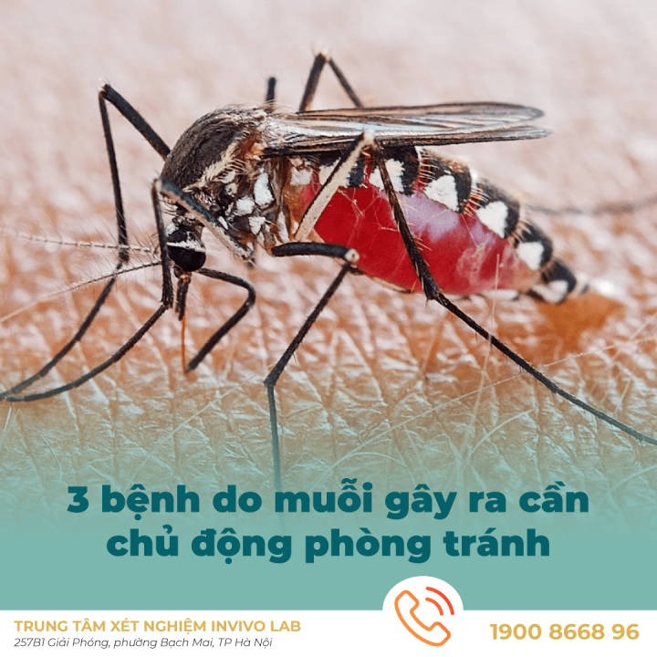 3-benh-do-muoi-gay-ra-can-chu-dong-phong-tranh-va-phong-ngua
