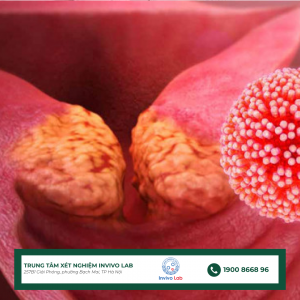 virus-hpv-gay-ung-thu-co-tu-cung