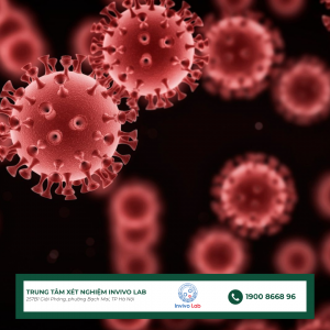 virus-viem-gan