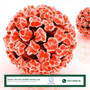 virus-hpv