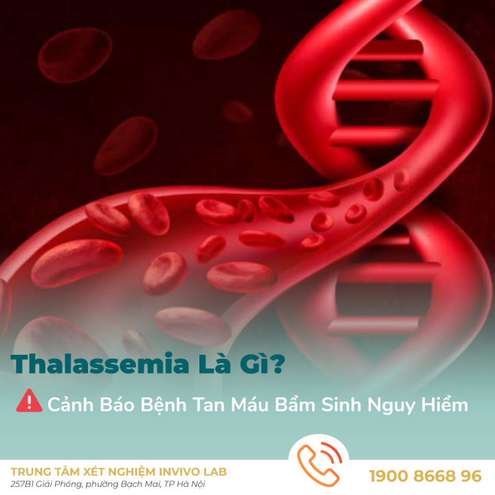 thalassemia-la-gi-tim-hieu-nguy-co-tan-mau-bam-sinh-o-tre