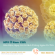 hpv-o-nam-gioi-dau-hieu-nguy-co-va-cach-phong-ngua