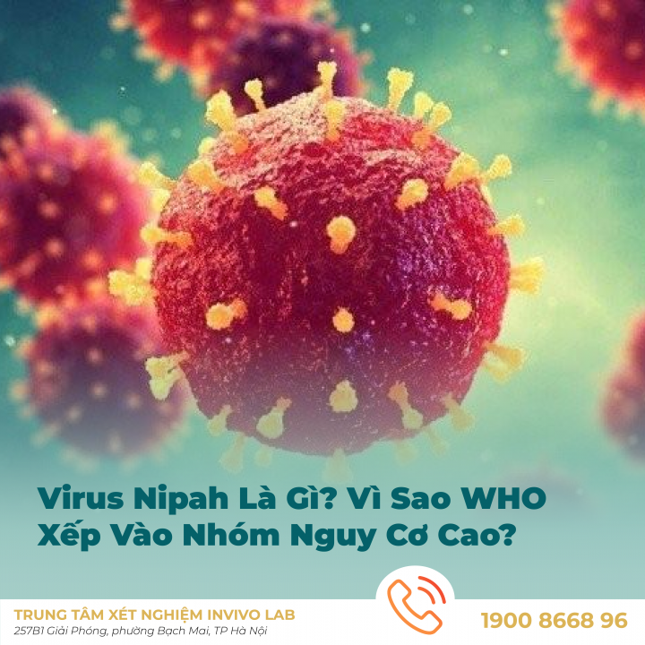 virus-nipah-la-gi-vi-sao-who-xep-vao-nhom-nguy-co-cao
