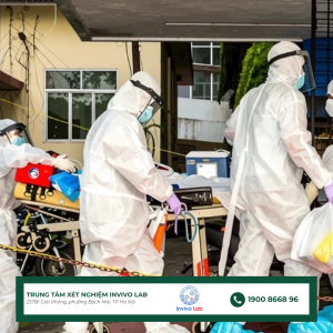 virus-nipah-nguy-hiem-nhu-the-nao