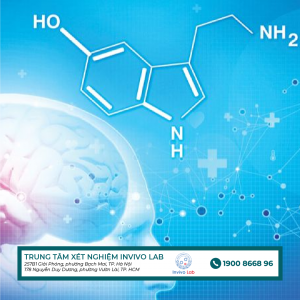 serotonin-co-chuc-nang-gi-?