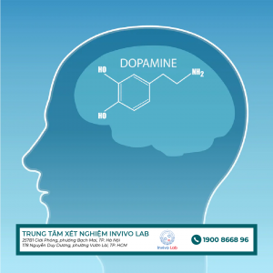 dopamine-co-vai-tro-gi