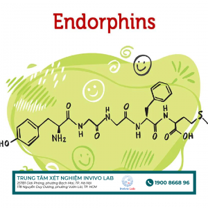 endorphins-co-chuc-nang-gi-?